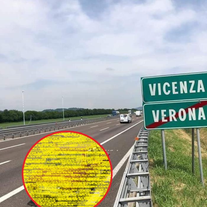 Imagini virale în Italia: Nu le-a venit să creadă ce au văzut pe șosea, la ieșire din Verona. E CELEBRĂ în ROMÂNIA  