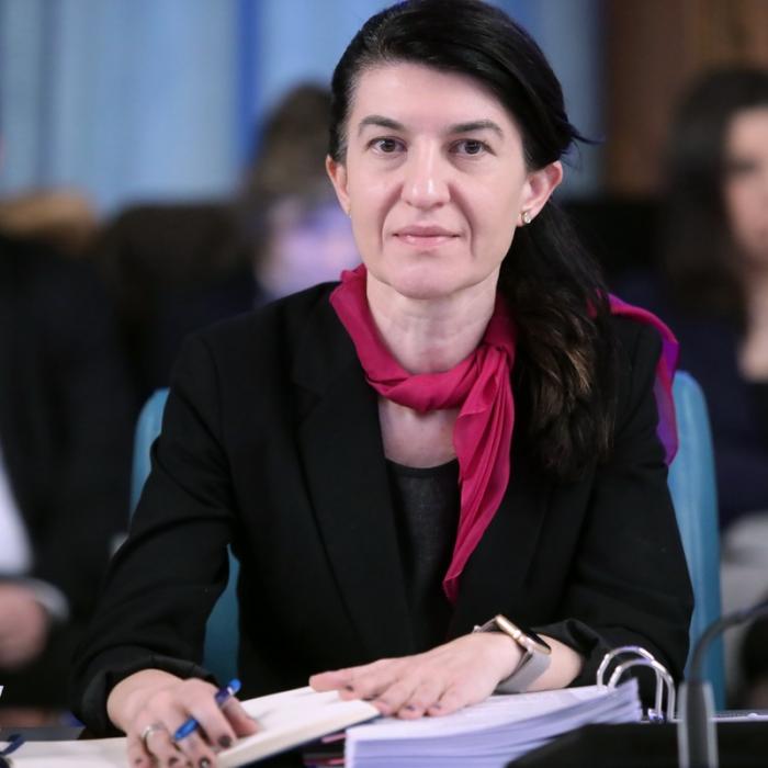 Violeta Alexandru anunţă proiecte de OUG privind programul flexibil de muncă şi zilierii şi SEZONIERII