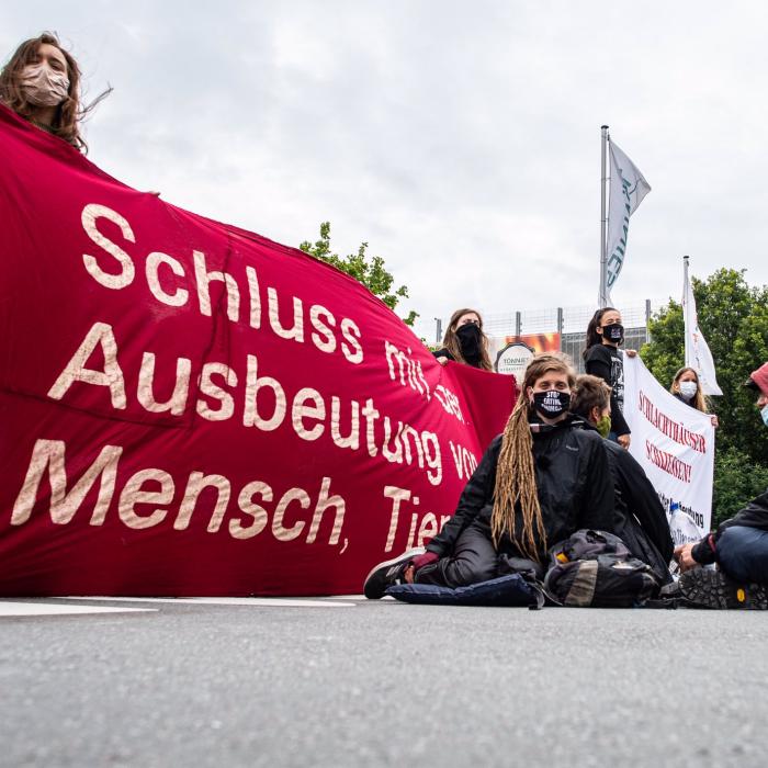 Abatorul-focar Toennies, contracte de muncă full-time muncitorilor români