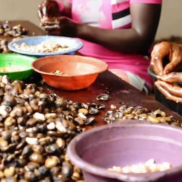 Franța. Un român a vrut să-și servească prietenii conaționali cu alune: Au ajuns în arest