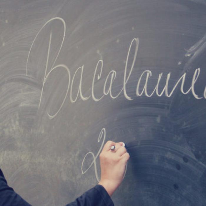 Proiect adoptat de Parlament: Bacalaureatul și Evaluarea Națională se pot echivala cu mediile. Detalii