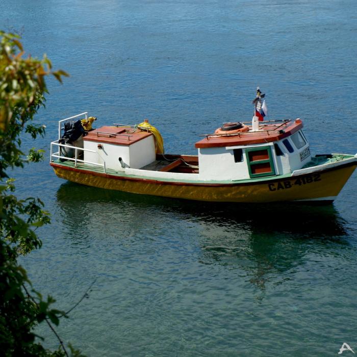 Un navigator băut, vinovat pentru accidentul naval din Tulcea