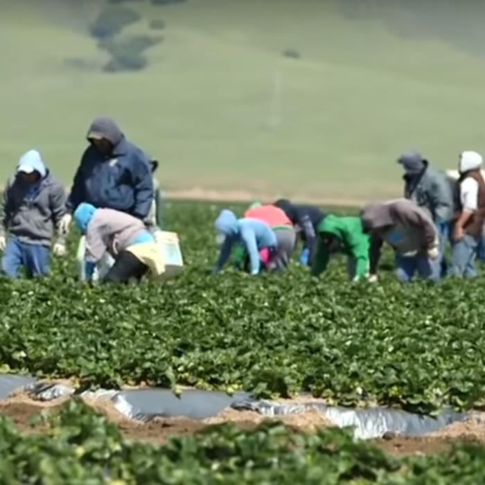 Germania. Cei 151 de români infectaţi au încheiat perioada de carantină. ZECI de români retestaţi, confirmaţi pozitivi