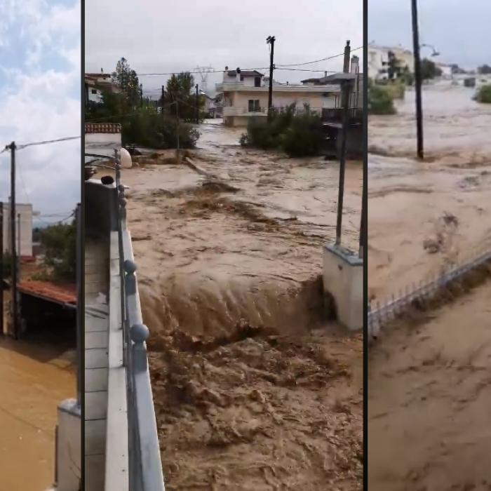 Grecia. Româncă de pe insula lovită de inundații, mărturisiri cutremurătoare: „Ne-a prins în somn. Nu am salvat nimic!“ (VIDEO)