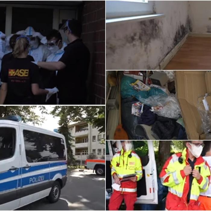 Românii au schimbat legea în Germania. Cum vor fi angajați străinii, din 2021