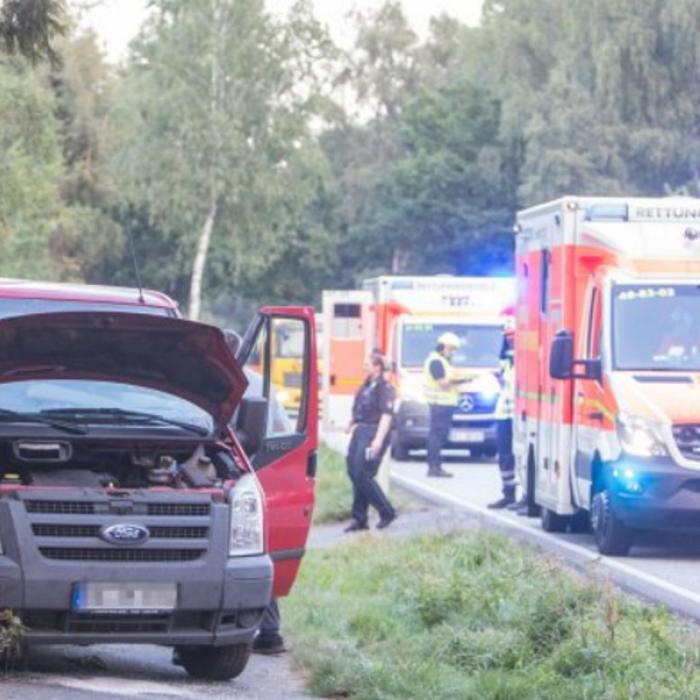 Germania. Microbuz cu români, accident grav pe autostradă. Șase victime, între care doi copii