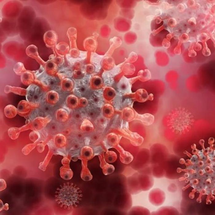 Societatea pentru Boli Infecţioase, despre o mutaţie a virusului: Îl face mai infecţios, dar mai puţin mortal