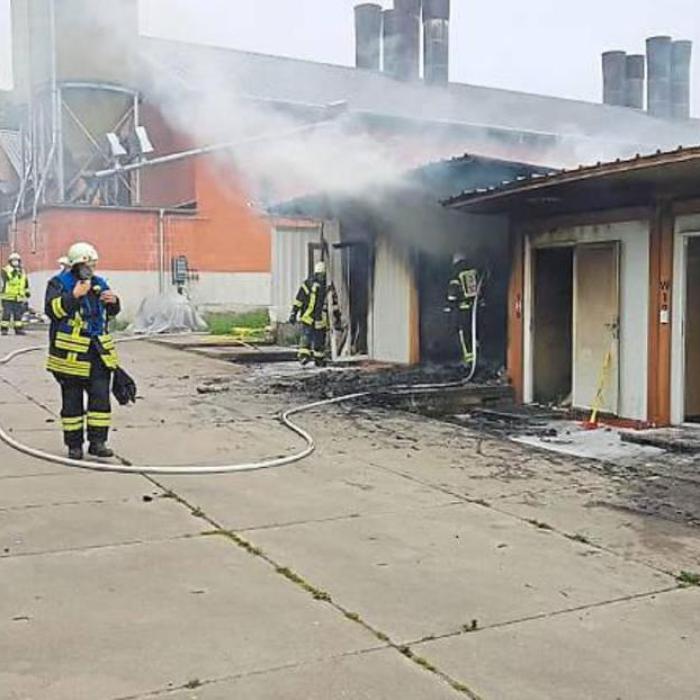 Germania. Muncitori români cazați în containere în care se creșteau găini: Un incendiu a scos totul la iveală