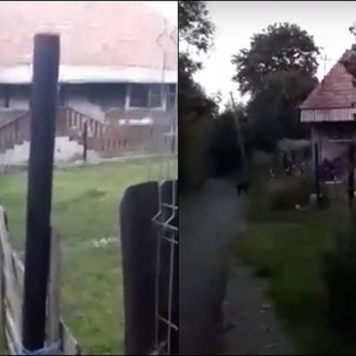 Tânără mamă româncă, ruptă cu bătaia: „N-o omorâți, că-i rămân doi prunci!”  (VIDEO)
