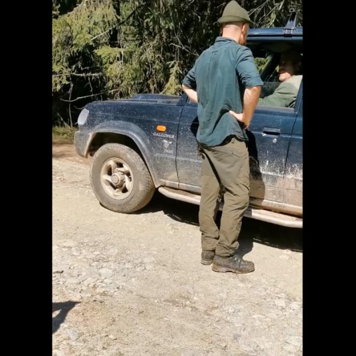 Senator român ameninţat cu MOARTEA în timp ce documenta tăierile ilegale de păduri - VIDEO