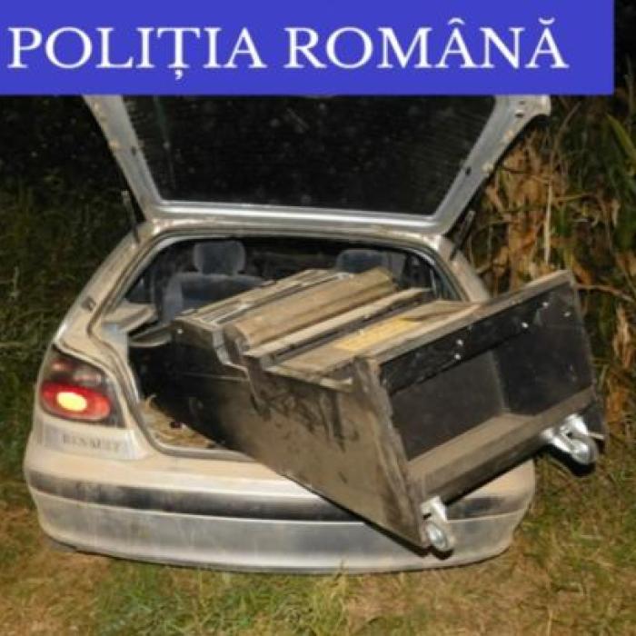 Un român ieșit dintr-un magazin cu... un aparat de păcănele: L-a dus pe câmp să-l spargă pentru a scoate banii