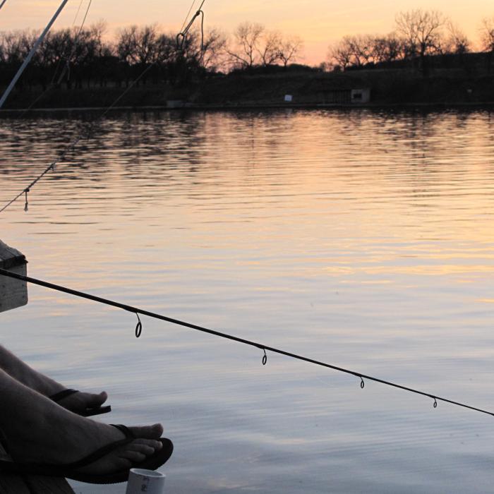 Pescarii din Olanda se plâng de românii veniți prin Germania: „Își fac nevoile în tufișuri și lasă saci de gunoi“