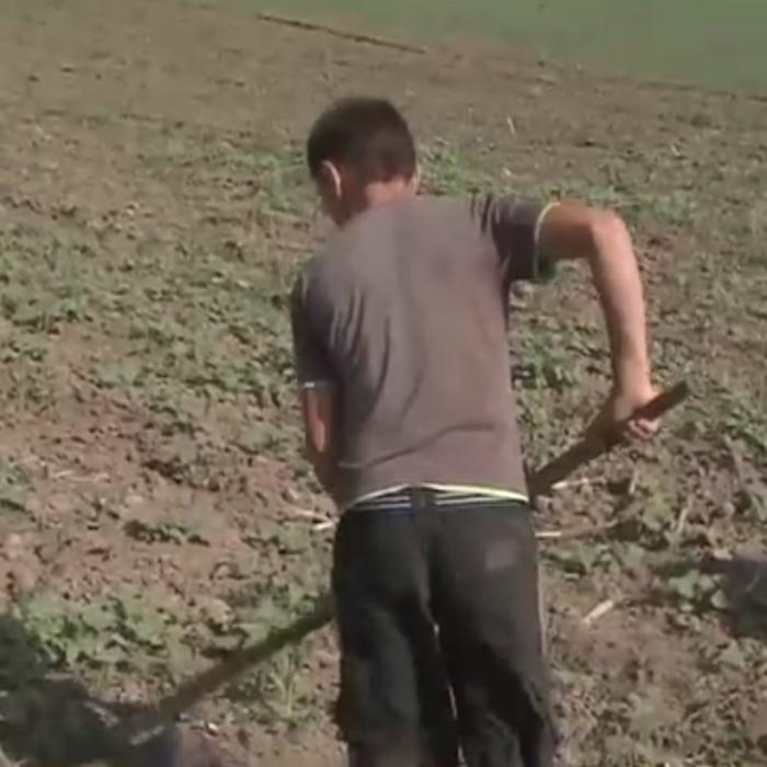 Austria. Salarii mizere pentru muncitorii sezonieri români. Oficial: "Am toleranţă ZERO! Aceste OI NEGRE exploatează muncitorii"