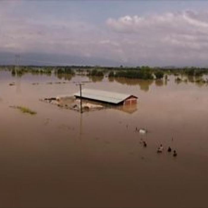 Grecia. Români în mijlocul Ciclonul Ianos: „A fost rău de tot! A venit marea, le-a luat şi a distrus tot“