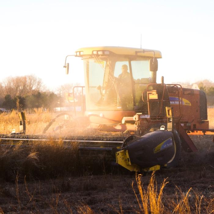 Marea Britanie, pierdere uriaşă în agricultură. Cea mai slabă recoltă din ultimii 30 de ani
