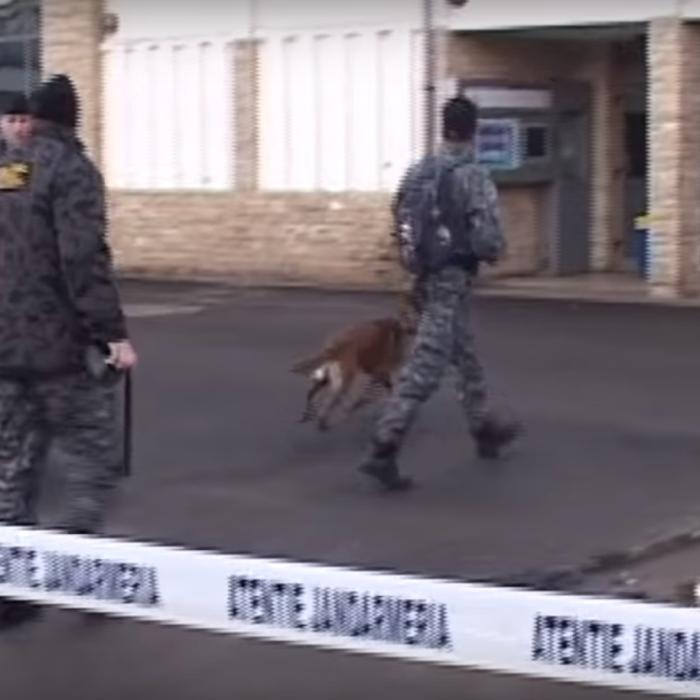 Alertă cu bombă la Ministerul Transporturilor. Bagaj suspect, găsit în curte