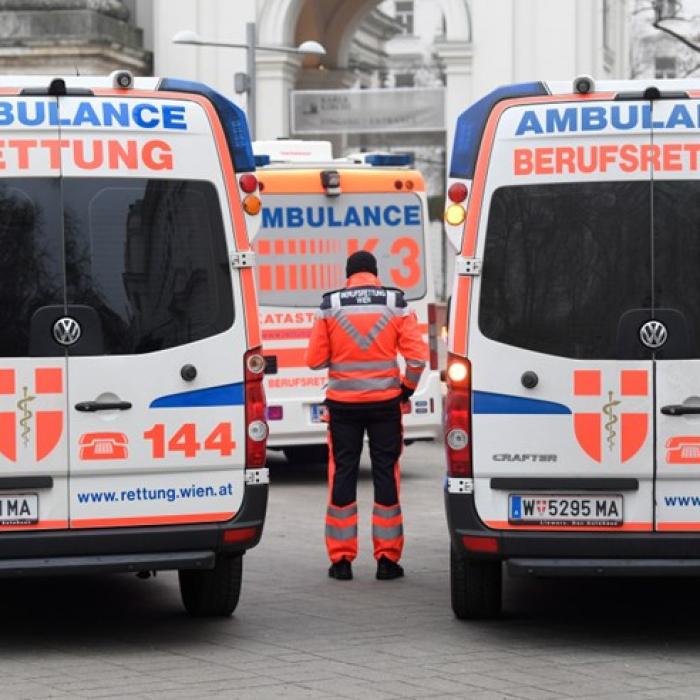CRIMĂ ȘOCANTĂ în Austria. O mamă și-a omorât cei 3 copii, apoi a anunțat că se sinucide. Micuții aveau între 8 luni și 9 ani 