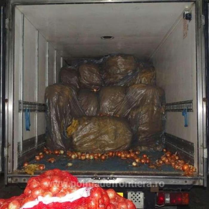 Şofer român de camion, oprit la vamă. Aproape 2 tone de tutun vrac, ascuns între saci cu ceapă  