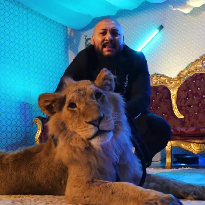 Explicaţia lui Dani Mocanu pentru imaginile cu leul rănit. Ce a scris în engleză pe contul de YouTube