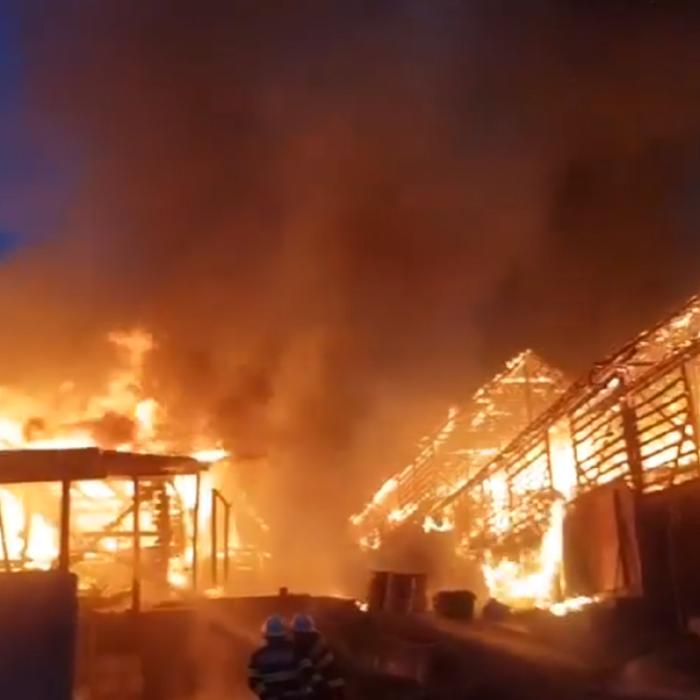 Incendiu nimicitor la o fermă a unor români. Zeci de animale, carbonizate