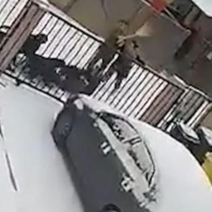 Româncă, atacată de patru rottweileri adulţi pe o stradă din Suceava 