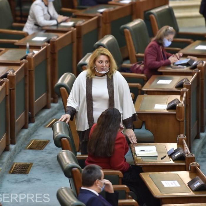 Diana Șoșoacă, SCANDAL la audierea ministrului justiției: "De-asta țara e guvernată așa cum e!" 