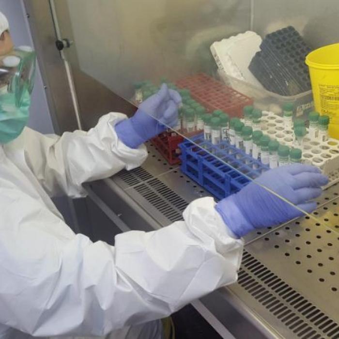 Iată când ajung în România noi loturi de vaccin anti-Covid. Anunț de ultimă oră