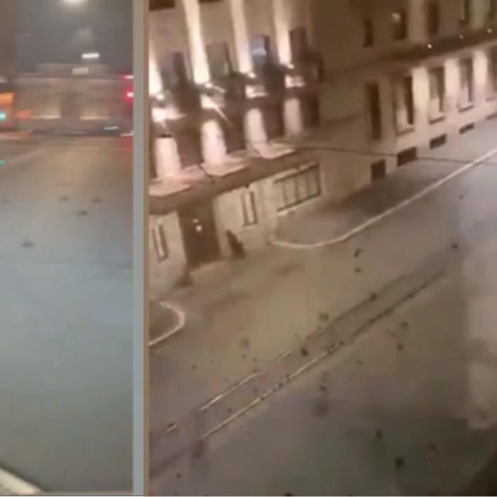 Imagini apocaliptice în Italia: Ploaie cu mii de păsări moarte din cauza focurilor de artificii
