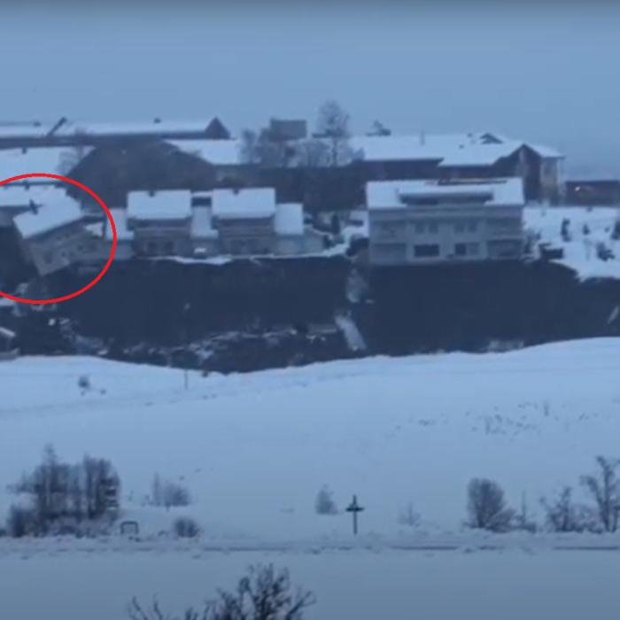 Norvegia. Căutările continuă pentru trei oameni dispăruţi în timpul alunecărilor de teren. Un câine le dă speranţă salvatorilor