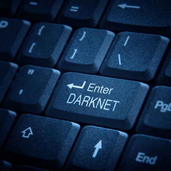 Cea mai mare platformă de vânzări de pe DarkNet, dezmembrată în Germania. Site-ul, găzduit pe servere aflate în vecinătatea României
