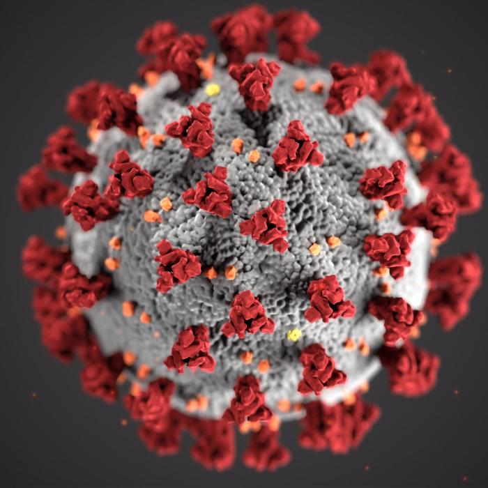 Tulpina sud-africană de coronavirus este de 1,5 ori mai contagioasă