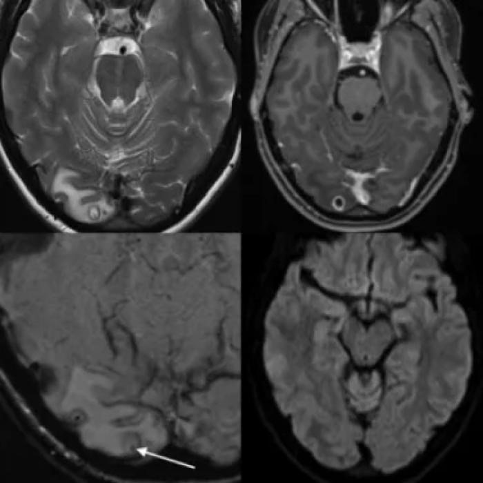 Elveția: Studiu privind comportamentul de asumare a riscurilor