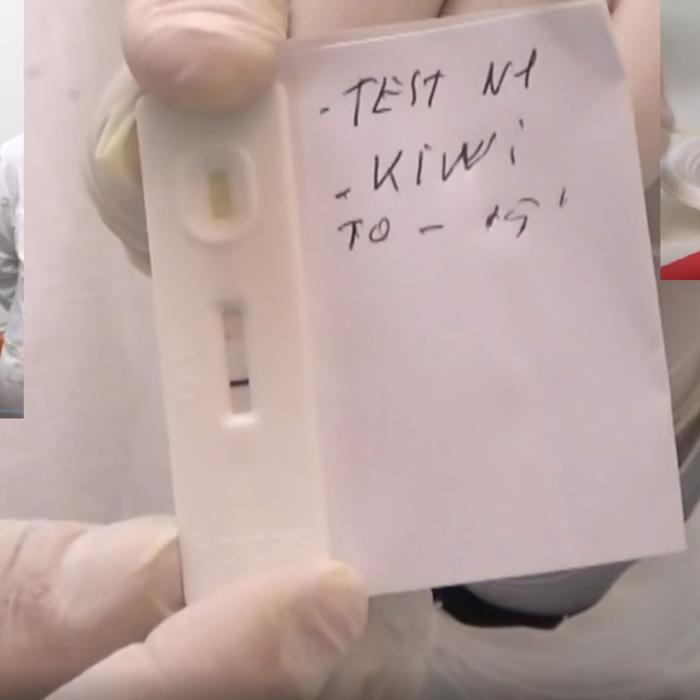 Isterie în Italia! Controversatul doctor Amici a arătat că un kiwi iese pozitiv la infecția cu SARS-COV-II: „Această pandemie este un film”