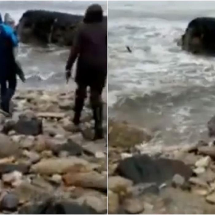 Român, erou în Marea Britanie: Gestul său a emoţionat comunitatea (VIDEO)