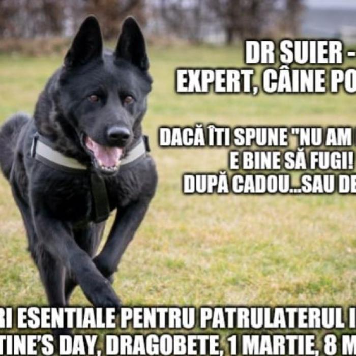 Mesajul Ministerului Afacerilor Interne pentru toți românii: Vă rugăm să rămâneți atenți și precauți!