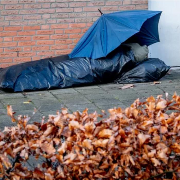 Olanda. Muncitorii români dorm pe stradă: „Nu mai au loc în niciun adăpost“. Liliana, consilier în Moerdijk, semnal de alarmă