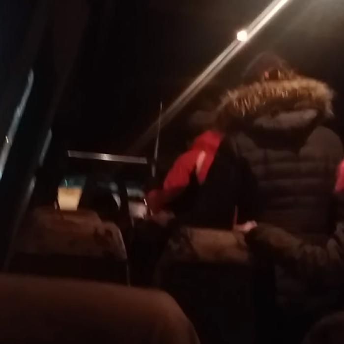 Românii dintr-un microbuz și-au falsificat testul COVID ca să intre în Germania. Ce au pățit la frontieră