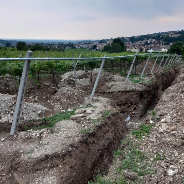 Descoperire incredibilă în Transilvania: era locul în care se adunau zeci de dinozauri