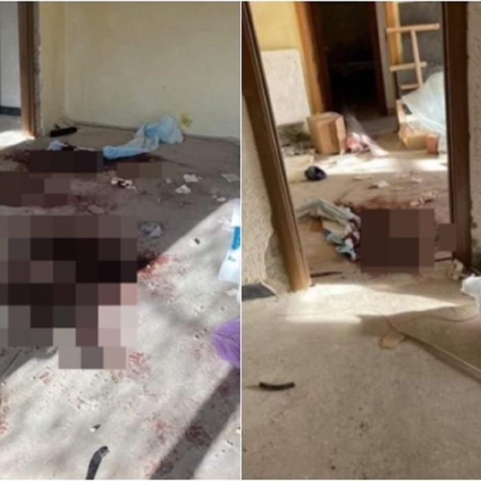 Primele imagini din „apartamentul groazei”, unde doi muncitori români au fost uciși