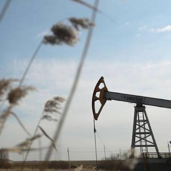 OMV Petrom va extrage petrol din Georgia. A fost semnat contractul