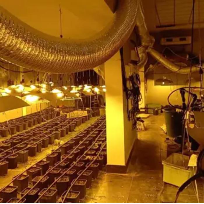 Spania. Afacerea unui român, „adaptată“ la vremuri de pandemie: Salon de nunți transformat în seră de cannabis