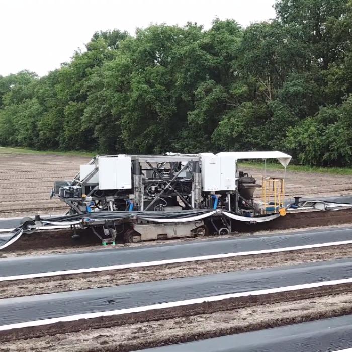 Germania. Culegătorii de sparanghel, înlocuiți de un robot. Fermier: "Are multiple avantaje" - VIDEO