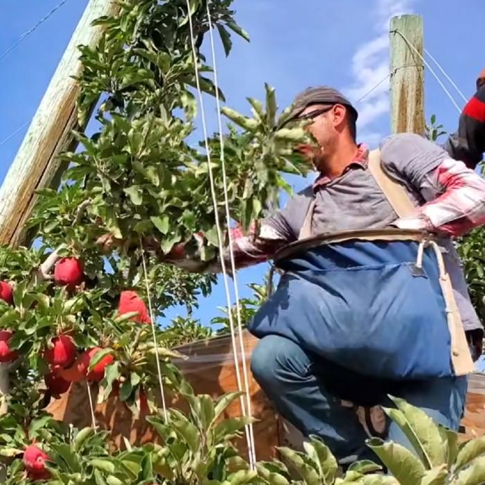 GHID pentru muncitorii români sezonieri din Spania