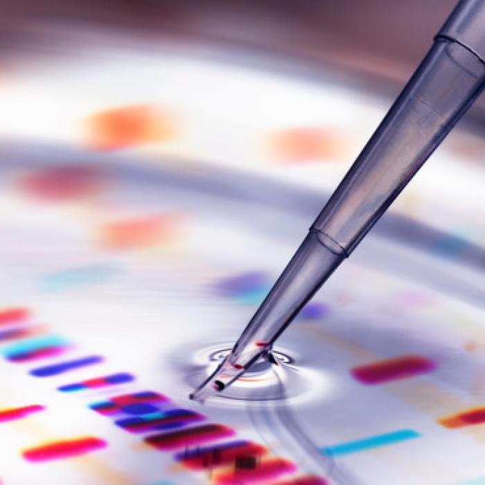 India anunță descoperirea unei noi tulpini a coronavirusului, cu două mutații