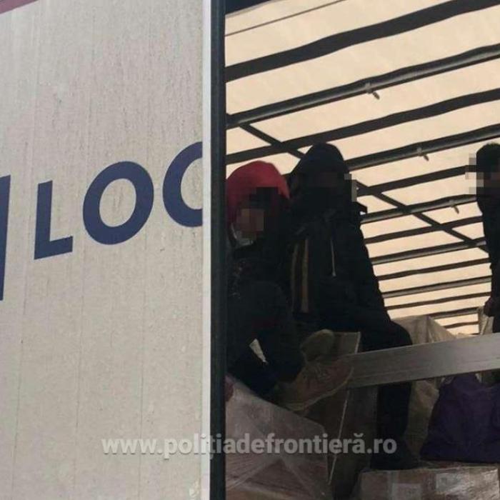 Trei camioane, verificate la sânge la frontiera României. Ce au găsit polițiștii printre marfa transportată 