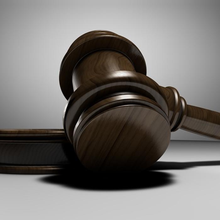 Român, condamnat la un an de închisoare cu executare pentru uciderea unui câine 