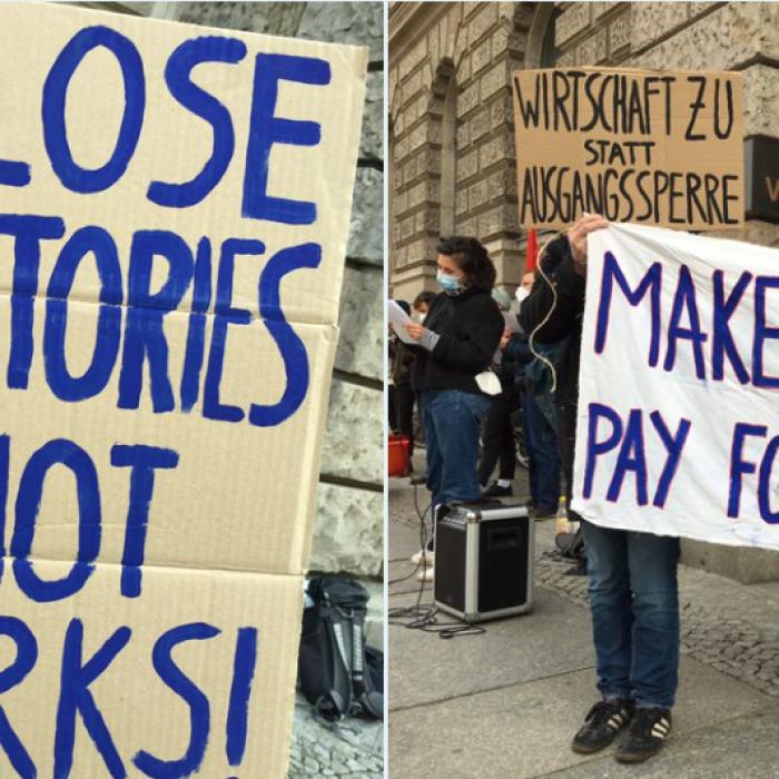 Proteste în Germania. Oamenii au cerut reguli mai DURE și un lockdown limitat
