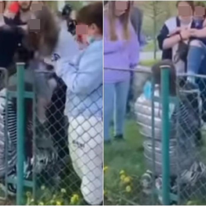Fată româncă, umilită şi bătută de mai mulţi adolescenţi, într-un parc (VIDEO)