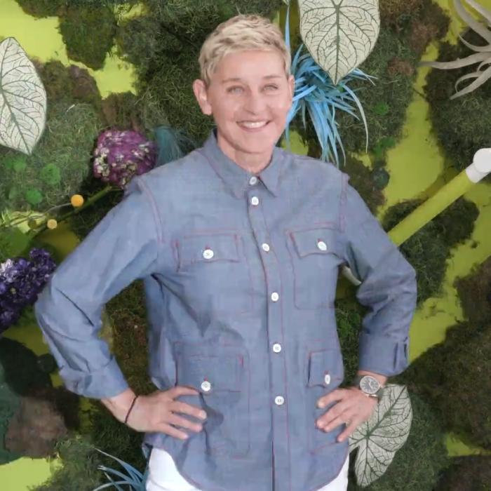Ellen DeGeneres pune punct emisiunii sale emblematice, după aproape două decenii: „Am nevoie de o nouă provocare“