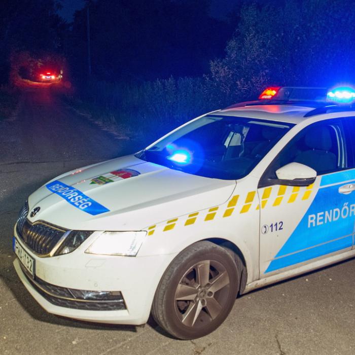 Ungaria. Români arestaţi pentru trafic de migranţi. Erau parte dintr-o reţea organizată